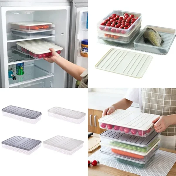 Fridge organizer1